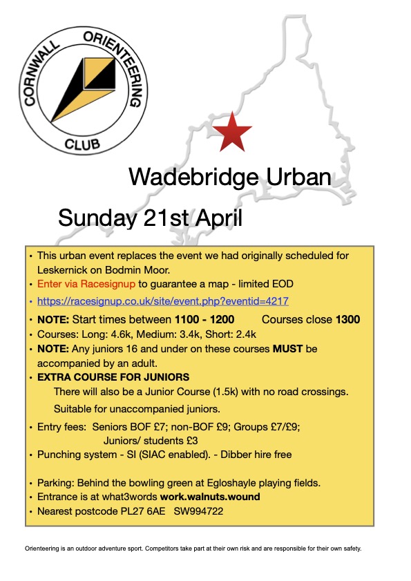 Flyer for Wadebridge event