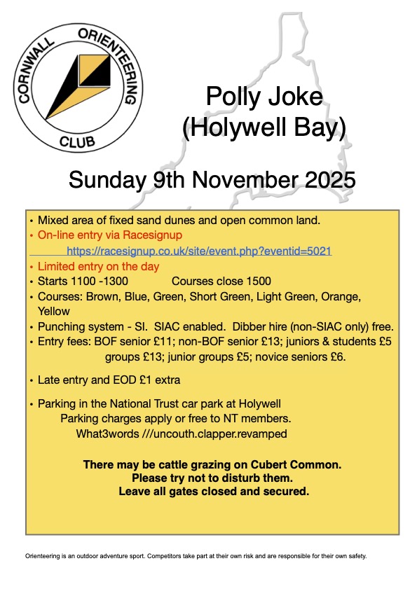 Flyer for Polly Joke event